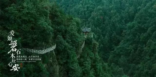 蝎子逃生之地