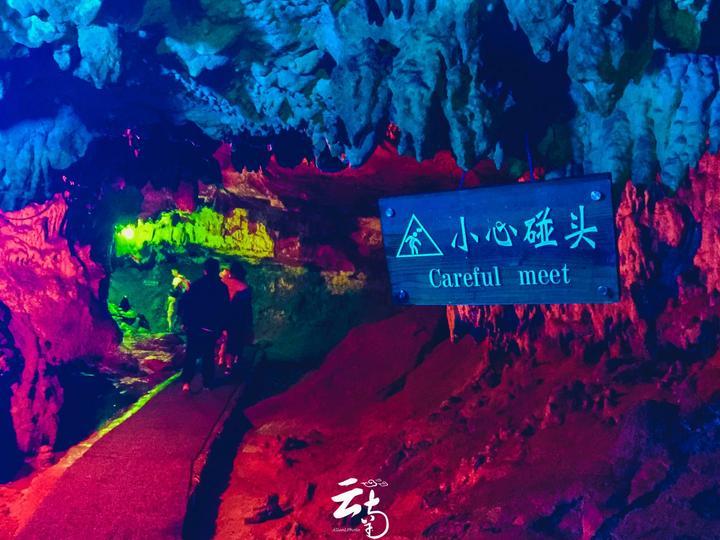 小麦价格“反常”大跌 未来还有机会吗
